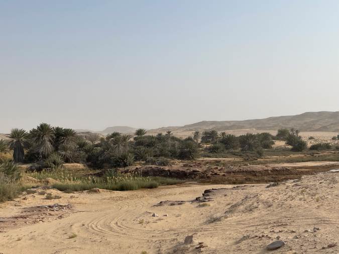 Oase in het Empty Quarter
